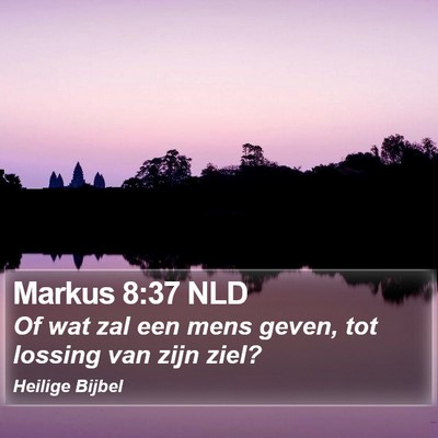 Markus 8:37 NLD Bible Verse Image