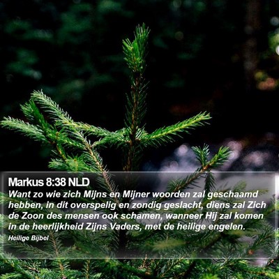 Markus 8:38 NLD Bible Verse Image