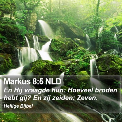 Markus 8:5 NLD Bible Verse Image