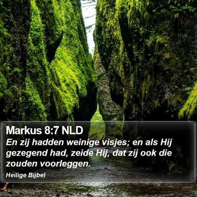 Markus 8:7 NLD Bible Verse Image