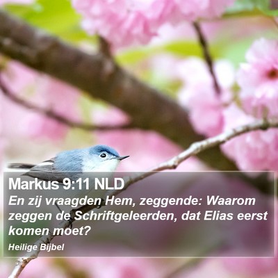Markus 9:11 NLD Bible Verse Image