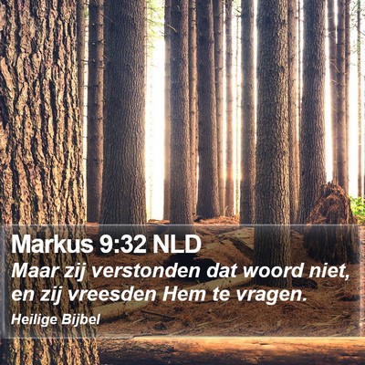 Markus 9:32 NLD Bible Verse Image