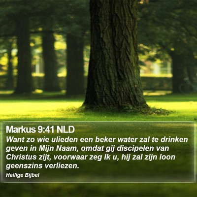 Markus 9:41 NLD Bible Verse Image
