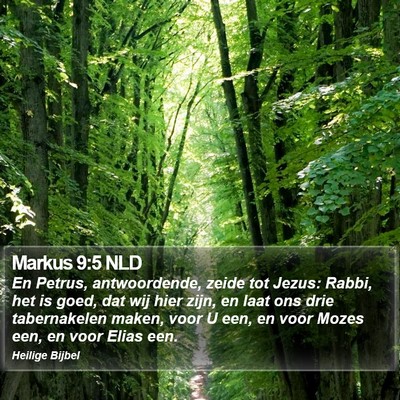 Markus 9:5 NLD Bible Verse Image