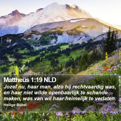 Mattheüs 1:19 NLD Bible Verse Image