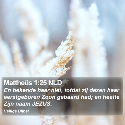 Mattheüs 1:25 NLD Bible Verse Image