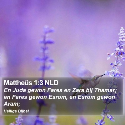 Mattheüs 1:3 NLD Bible Verse Image
