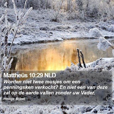 Mattheüs 10:29 NLD Bible Verse Image