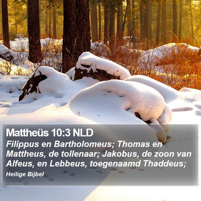 Mattheüs 10:3 NLD Bible Verse Image