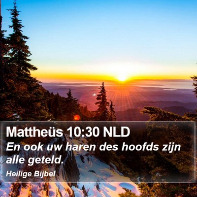 Mattheüs 10:30 NLD Bible Verse Image