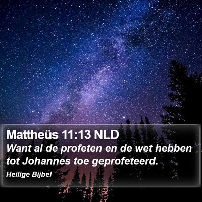Mattheüs 11:13 NLD Bible Verse Image