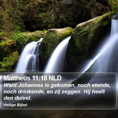 Mattheüs 11:18 NLD Bible Verse Image