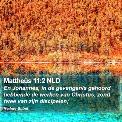 Mattheüs 11:2 NLD Bible Verse Image