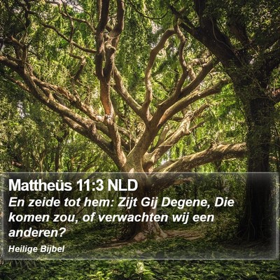 Mattheüs 11:3 NLD Bible Verse Image