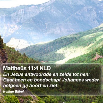 Mattheüs 11:4 NLD Bible Verse Image