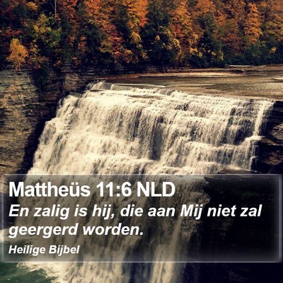 Mattheüs 11:6 NLD Bible Verse Image