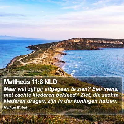 Mattheüs 11:8 NLD Bible Verse Image