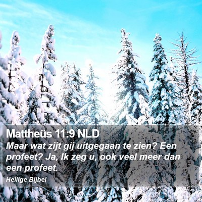 Mattheüs 11:9 NLD Bible Verse Image