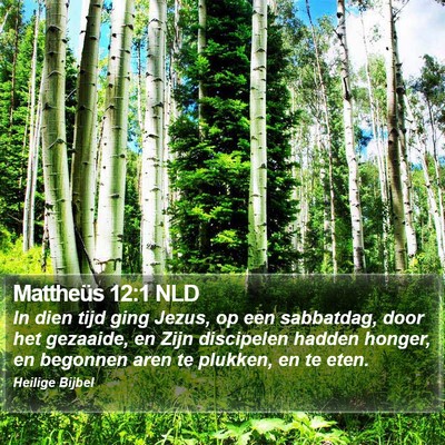 Mattheüs 12:1 NLD Bible Verse Image