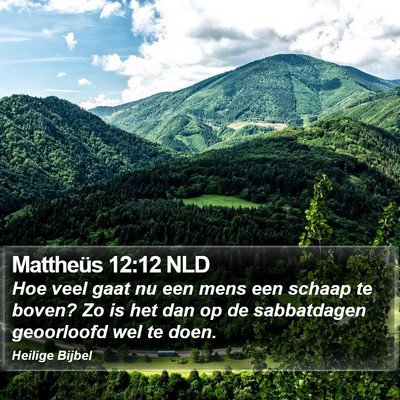 Mattheüs 12:12 NLD Bible Verse Image