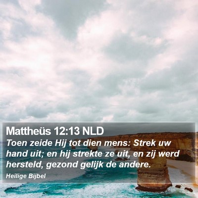 Mattheüs 12:13 NLD Bible Verse Image