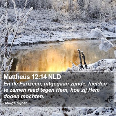 Mattheüs 12:14 NLD Bible Verse Image