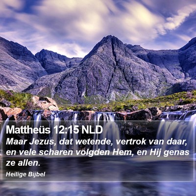 Mattheüs 12:15 NLD Bible Verse Image