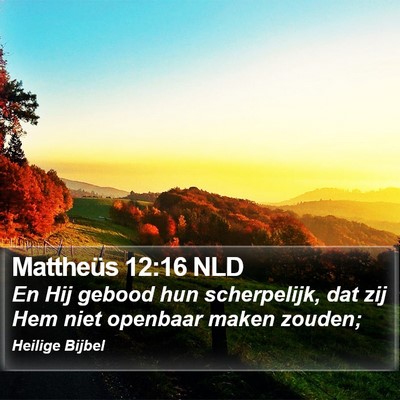 Mattheüs 12:16 NLD Bible Verse Image