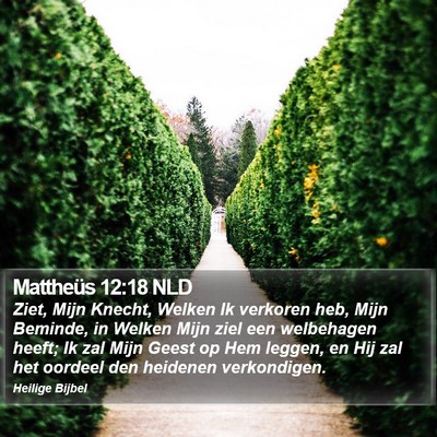 Mattheüs 12:18 NLD Bible Verse Image