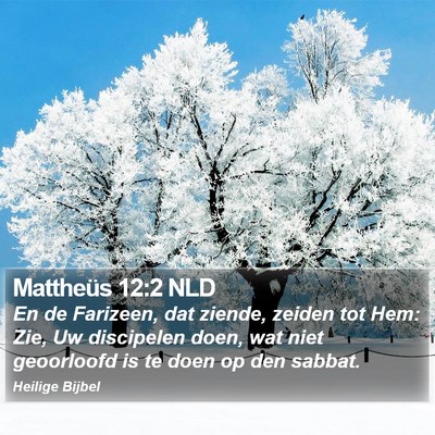 Mattheüs 12:2 NLD Bible Verse Image