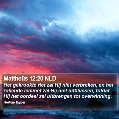 Mattheüs 12:20 NLD Bible Verse Image