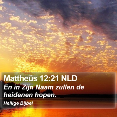Mattheüs 12:21 NLD Bible Verse Image
