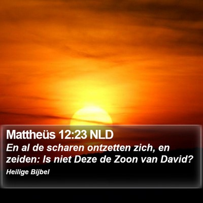 Mattheüs 12:23 NLD Bible Verse Image