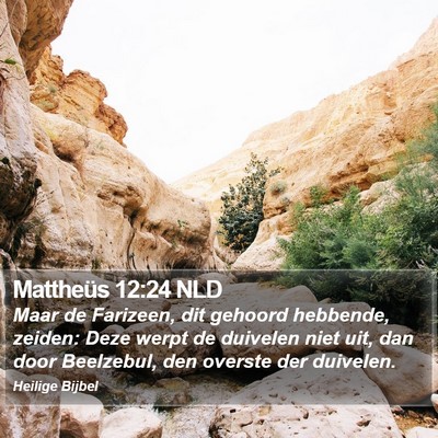 Mattheüs 12:24 NLD Bible Verse Image