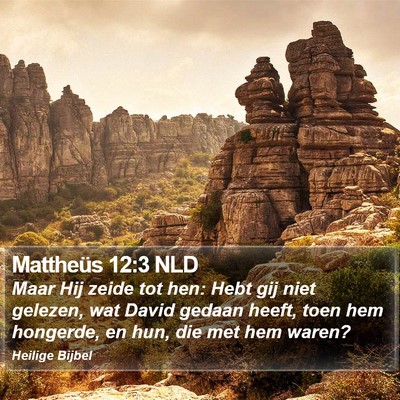 Mattheüs 12:3 NLD Bible Verse Image