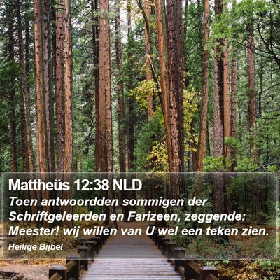 Mattheüs 12:38 NLD Bible Verse Image