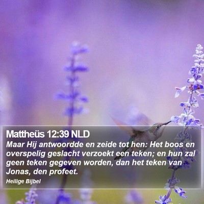 Mattheüs 12:39 NLD Bible Verse Image