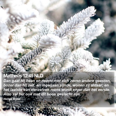 Mattheüs 12:45 NLD Bible Verse Image