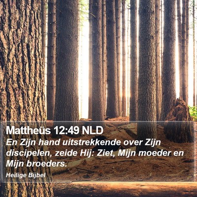 Mattheüs 12:49 NLD Bible Verse Image