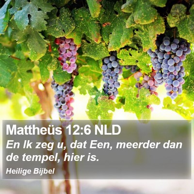 Mattheüs 12:6 NLD Bible Verse Image