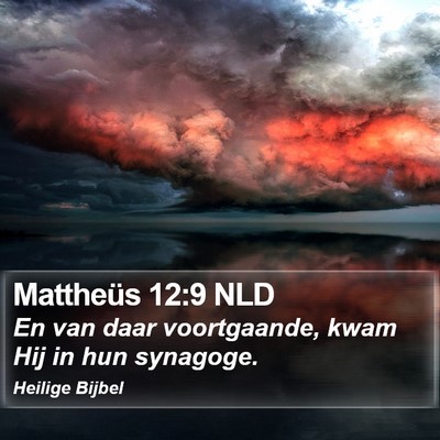 Mattheüs 12:9 NLD Bible Verse Image