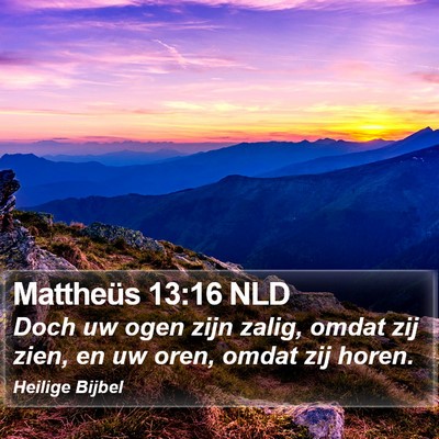 Mattheüs 13:16 NLD Bible Verse Image
