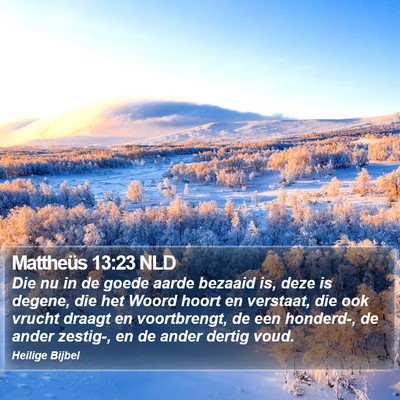 Mattheüs 13:23 NLD Bible Verse Image