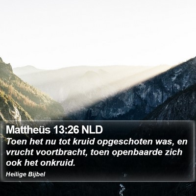 Mattheüs 13:26 NLD Bible Verse Image