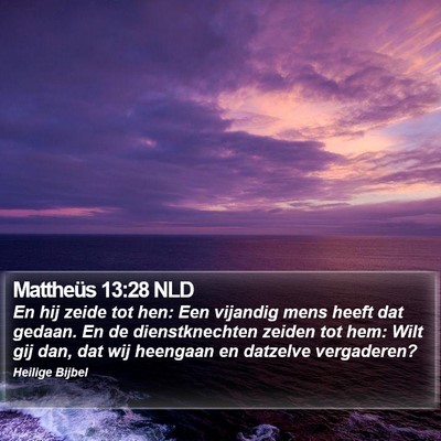 Mattheüs 13:28 NLD Bible Verse Image