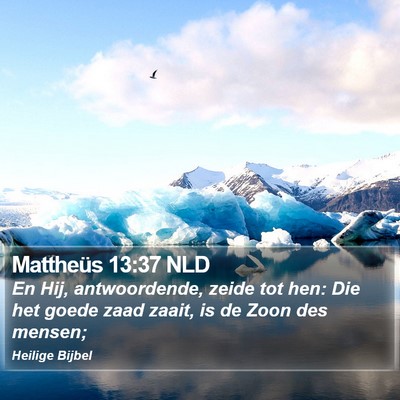 Mattheüs 13:37 NLD Bible Verse Image