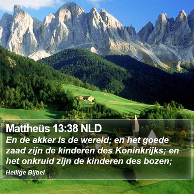 Mattheüs 13:38 NLD Bible Verse Image