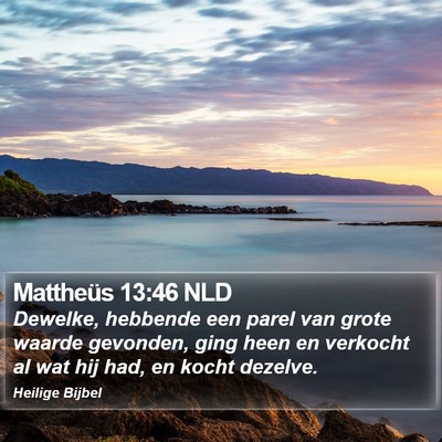 Mattheüs 13:46 NLD Bible Verse Image