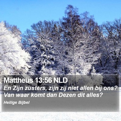 Mattheüs 13:56 NLD Bible Verse Image