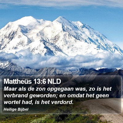 Mattheüs 13:6 NLD Bible Verse Image